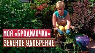 Миниатюра