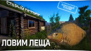 Миниатюра
