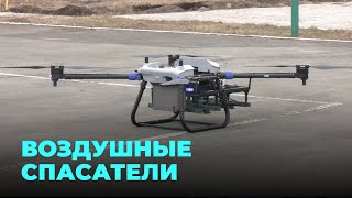 Миниатюра