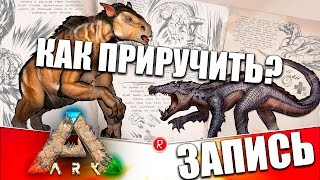 Миниатюра