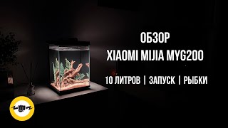 Миниатюра