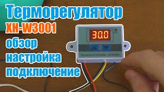 Миниатюра