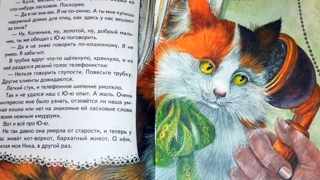 Миниатюра