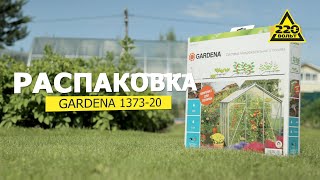 Миниатюра