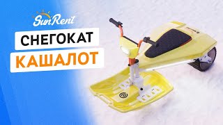 Миниатюра