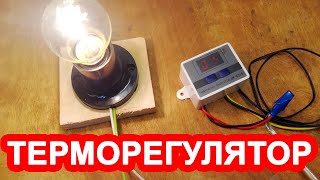Миниатюра