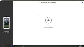 Миниатюра
