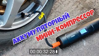 Миниатюра