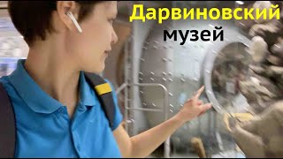 Миниатюра