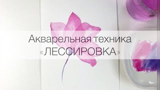 Миниатюра