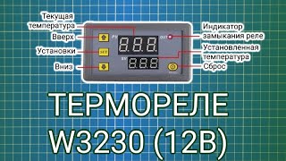 Миниатюра