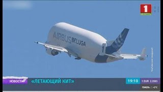 Миниатюра