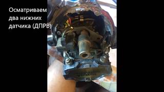 Миниатюра