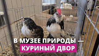 Миниатюра