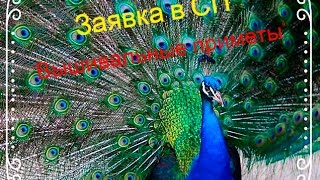 Миниатюра