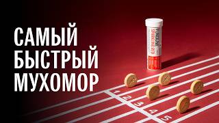 Миниатюра