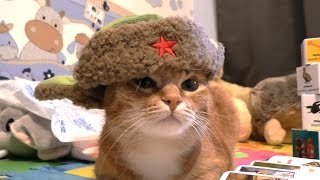 Миниатюра