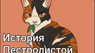 Миниатюра