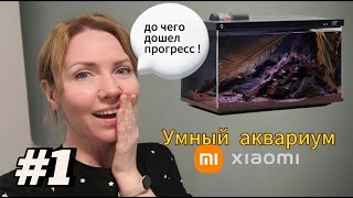 Миниатюра