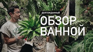 Миниатюра