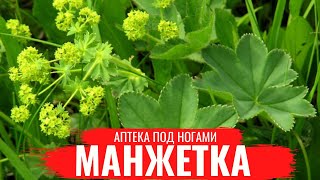 Миниатюра