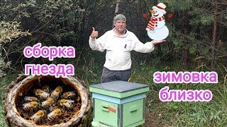 Миниатюра
