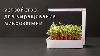 Миниатюра