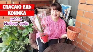 Миниатюра