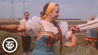 Миниатюра