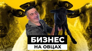 Миниатюра