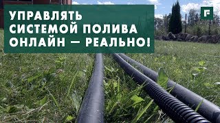 Миниатюра