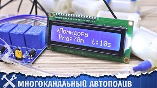 Миниатюра